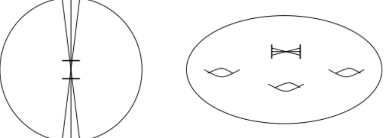 Figure 4: A flow box in P T( ˜ S) (left) consists of lifts to P T( ˜ S) of segments of biinfinite geodesics with endpoints on the two arcs, while a flow box in PT(S) (right) consists of lifts to P T(S) of geodesic segments having endpoints on the arcs, and