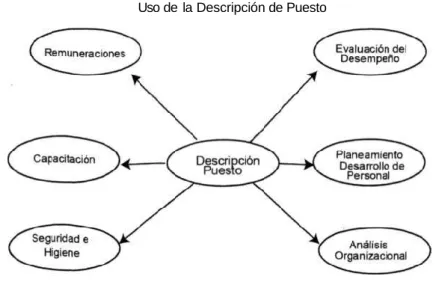 Gráfico  6.2 