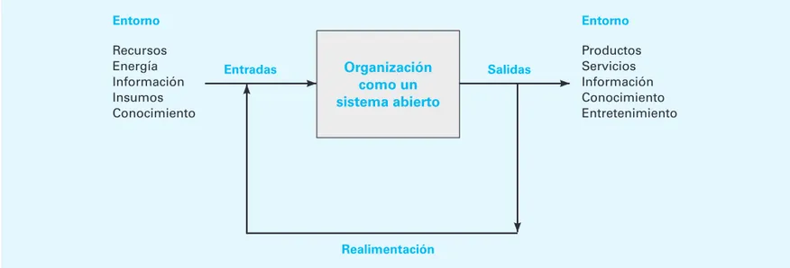 Figura 2.7  La organización como un sistema abierto en interacción con el ambiente.