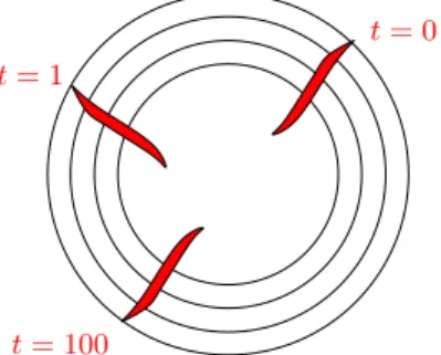 Figure 3.2. An example of a system which is not mix- mix-ing: for the harmonic oscillator (linearized pendulum) the angular velocity is independent of the action  vari-able, so a disturbance in phase space keeps the same shape as time goes by.