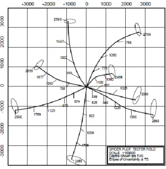 Figura 1: Gráfico de araña, “Spider Plot”. 