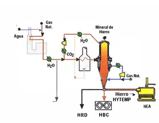 Figura 2.13:  Esquema del proceso HYL 111 