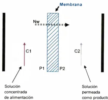 Figura 11. Concentraciones y flujos en el proceso de ósmosis inversa. 