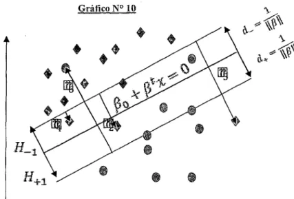 Gráfico N° 10 