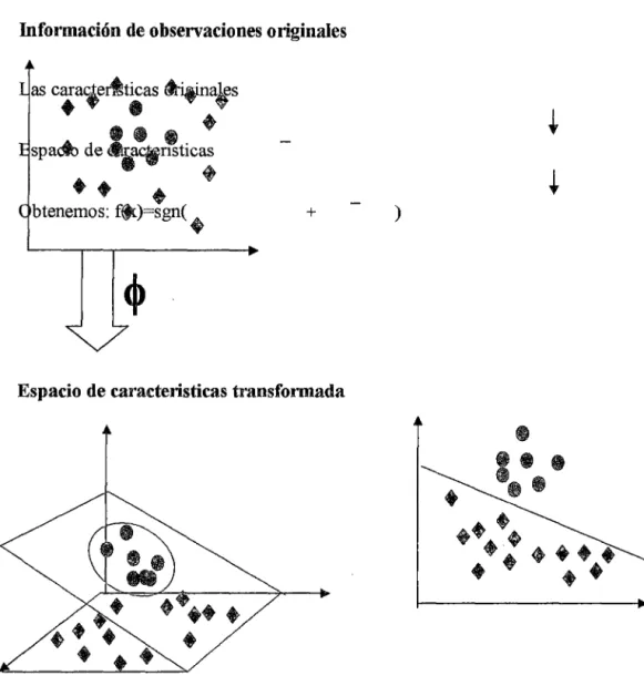 Gráfico N°  12 