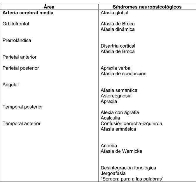 Cuadro 2.2. Accidentes cerebrovasculares en el área de la arteria cerebral media  izquierda 