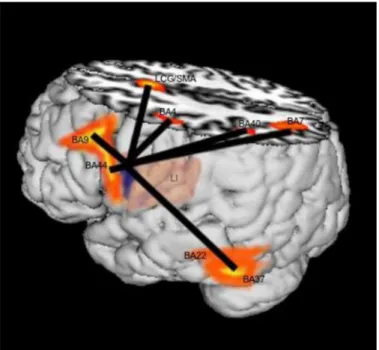 Fig. 2 illustrates the insula connections in the left hemisphere. 4. Discussion