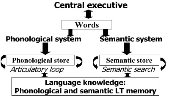 Figure  1.  Proposed  Working  Memory  Model  For  Words.  In  Addition  To  The  Phonological  System,  A 