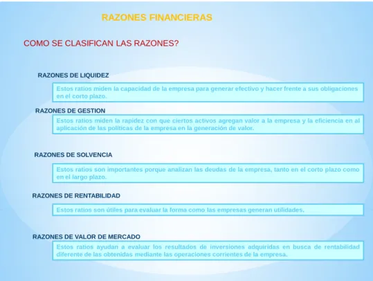 Figura 1.6  Razones financieras 