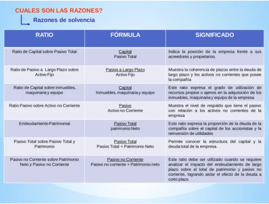 Figura 1.9  Razones de solvencia 