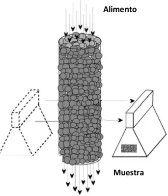 Figura N°8      Muestreador de Trayectoria Recta. 