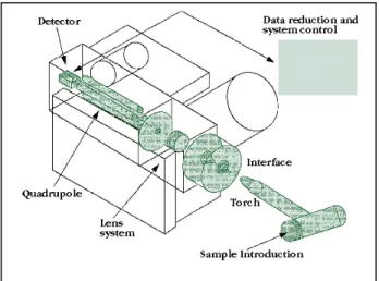 Fig. 3. Representación esquemática del ICP MS ELAN 6000 
