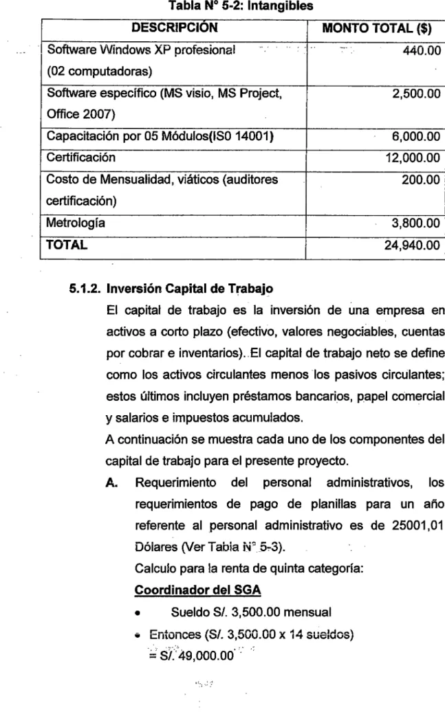 Tabla N° 5-2:  Intangibles 