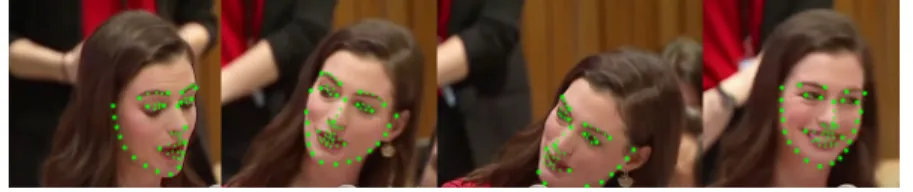 Figure 2.6: Example of landmarks extracted from a high-quality video with large head displacements and broad points of view at 1 FPS
