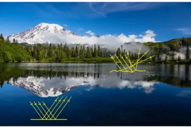 Figure 1. A mirror image,  produced by regular reflection  (bottom left), and a blurred  image, produced by diffuse  reflection (middle right)