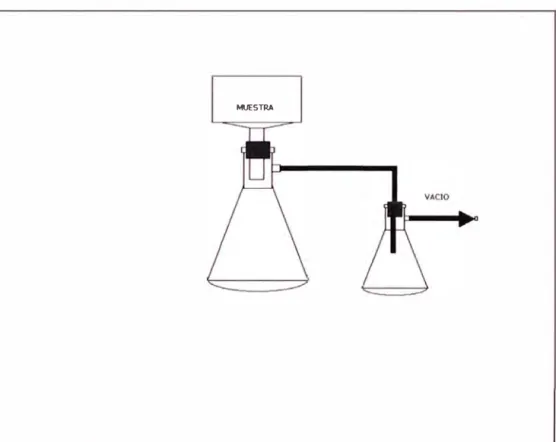 Figura  2.1  Sistema de filtración utilizado en la preparación del  borato de cinc 