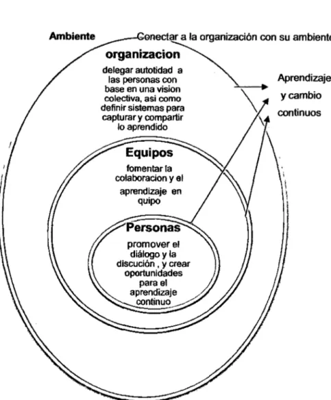 Figura N°  4:  Modelo de Organización de aprendizaje 
