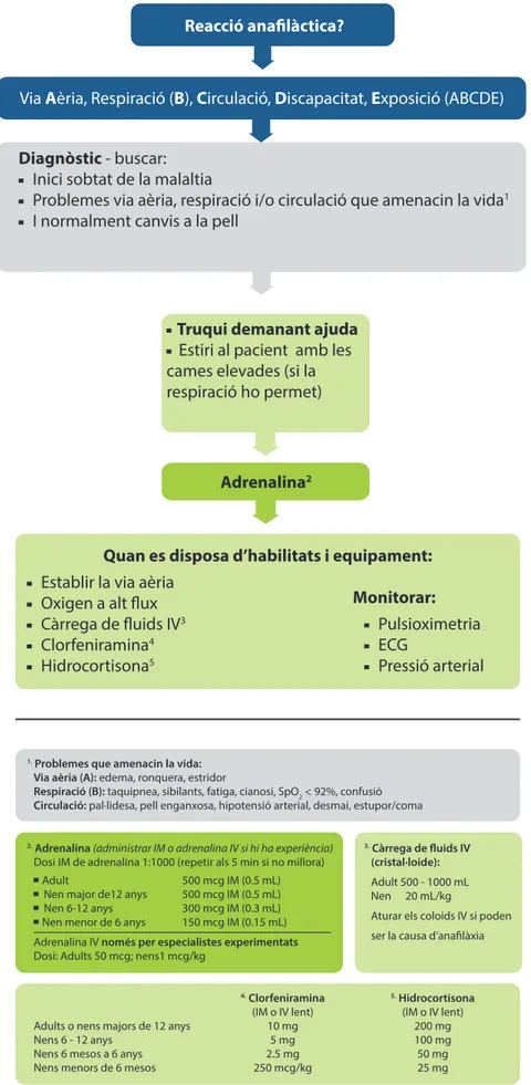 Figura 1.10 Algoritme del tractament de l’anafilàxia 282  Reproduït amb el permís d’ Elsevier Ireland Ltd