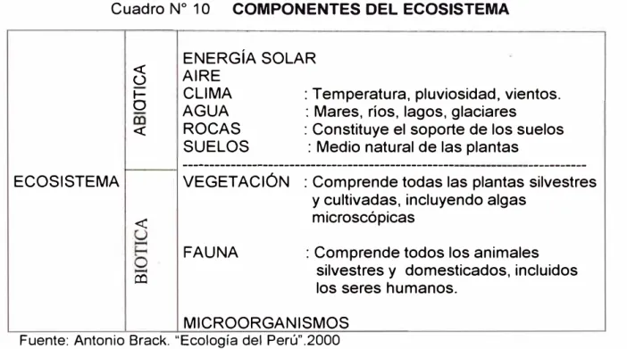 Cuadro N º  1 O  COMPONENTES DEL ECOSISTEMA  ENERGÍA SOLAR 