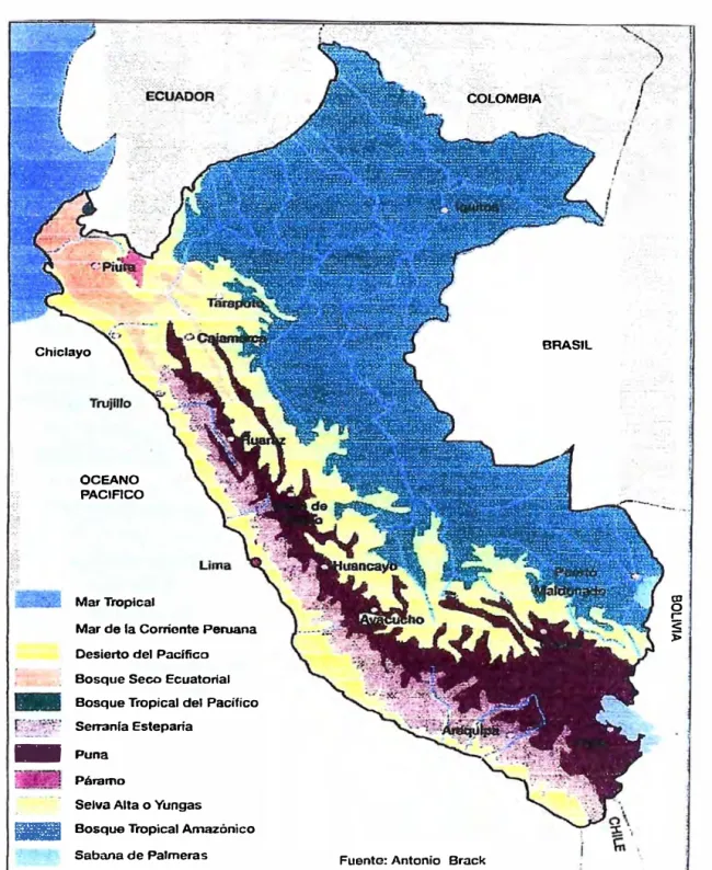 Fig. N º  10  MAPA DE LAS ECORREGIONES DEL PERÚ 