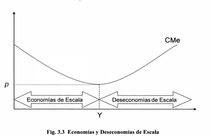 Fig. 3.3  Economías y Deseconomías de Escala 