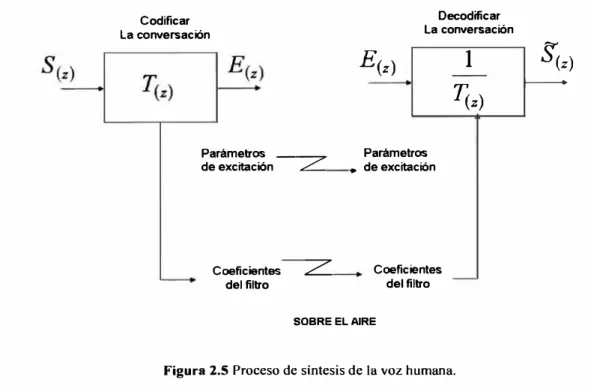 Figura 2.5 Proceso de síntesis de la voz humana. 