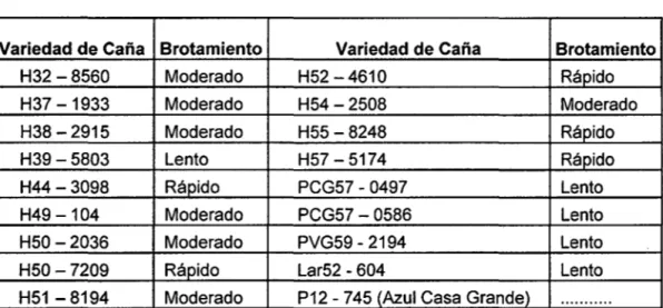 Cuadro N° 1.1  Variedades De Caña De Azúcar En El Perú 