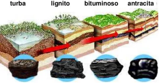 Figura 1: Proceso de la formación del carbón mineral 