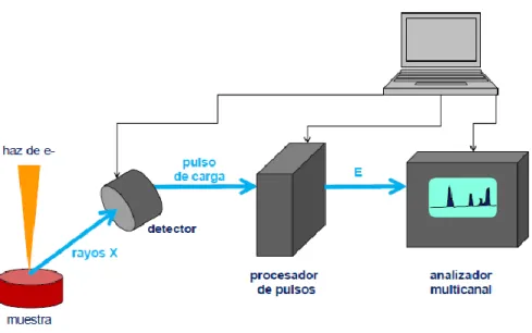 Figura 8: Esquema y fotografía de un detector típico de medidas EDX 