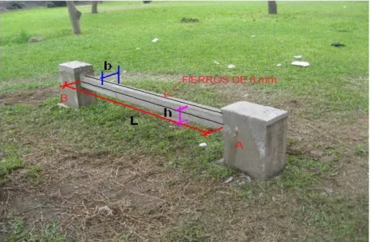 Figura 26. Dimensiones de la Viga Empotrada en sus dos Extremos 
