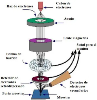Figura 16: Esquema representativo de un equipo SEM y sus componentes [66]. 