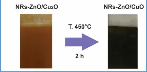 Figura 20. Película de NRs-ZnO/CuO después del tratamiento térmico de los                      NRs-ZnO/Cu 2 O