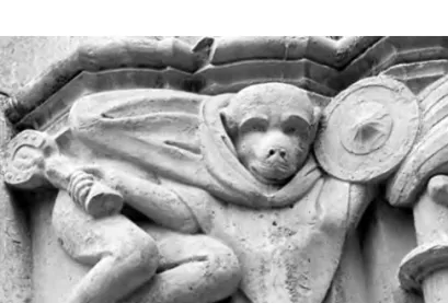 Fig. 5. Simi armat