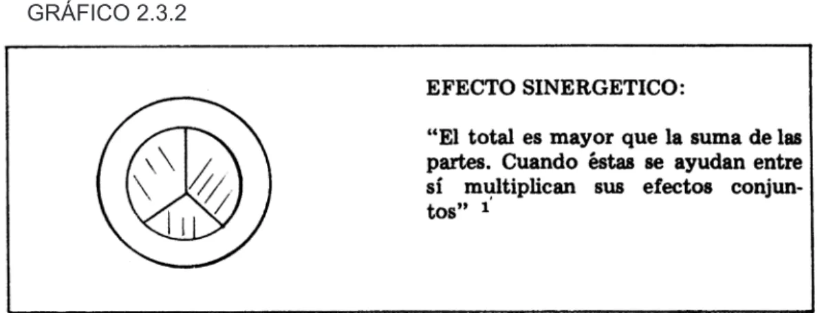 GRÁFICO 2.3.2