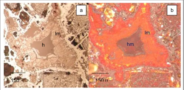 Figura 9 Microfotografía a. Nicoles Paralelos, b. Nicoles Cruzados, en ambas  se observa hematita pasando a limonitas, nótose la forma cúbica 