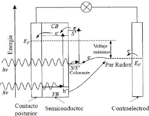 Fig. 4. Principio de funcionamiento y esquema de niveles de energía de los componentes de  una celda nanocristalino sensibilizada por colorante [8]