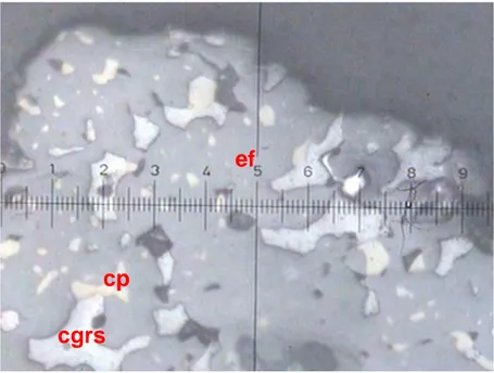Figura N° 2.1     Granos de esfalerita con inclusiones de cobre grises y  calcopirita Nicoles paralelos, aumentos 200X 