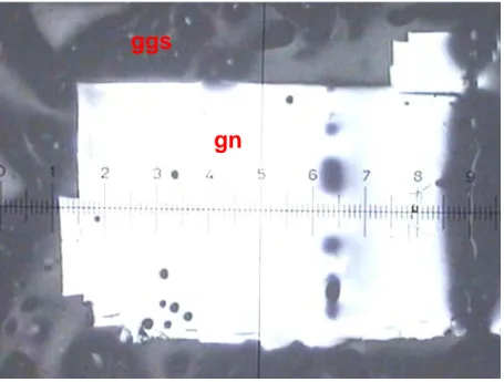 Figura N° 2.3    Granos libre de galena nicoles paralelos, aumentos  (63X)  ggs gn  py ggs 
