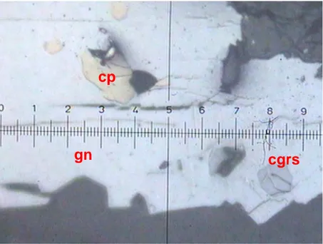 Figura N° 2.5   Grano de galena con inclusiones de calcopirita y cobre  grises, nicoles paralelos Aumentos (200X) 