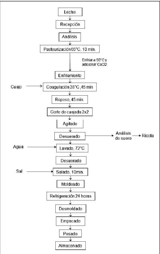 Figura 15. Diagrama de bloques para la elaboración del queso fresco. 