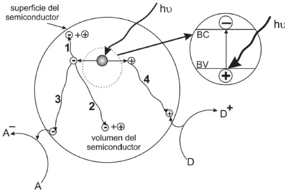 Figura  2.11.  Esquema  de  los  procesos  fotoinducidos  sobre  una  partícula  semiconductora