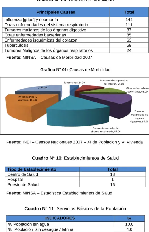 Cuadro N° 09: Causas de Morbilidad 