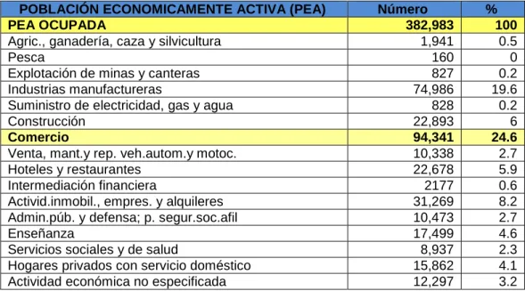 Cuadro N° 15: Indicadores Económicos 