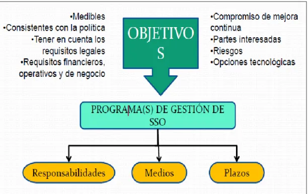 Gráfico Nº 10. Consideraciones para elaborar el Programa de Gestión de SIGESSMA 