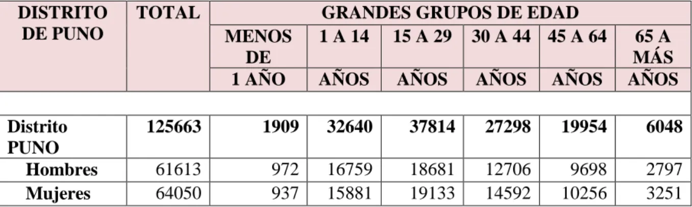 CUADRO N 0  04: TASA DE CRECIMIENTO INTERCENSAL 