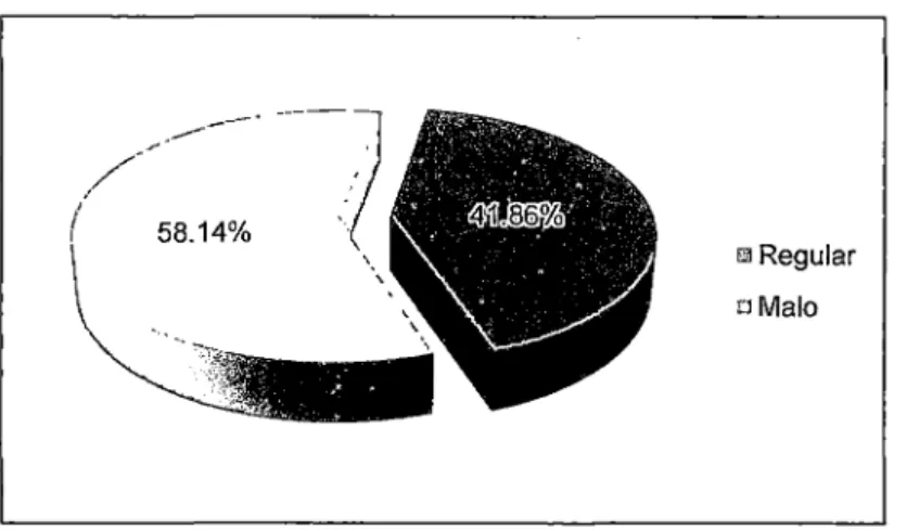 Gráfico 8 