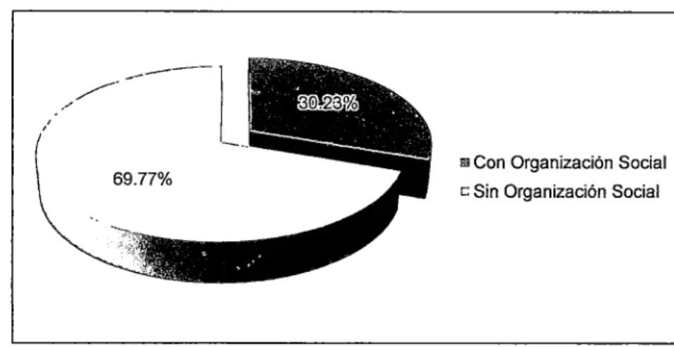 Gráfico 10 