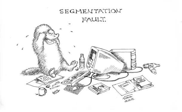 Figure 4.1: Segmentation fault, again and again! Alas, this is a situation you must likely will end up in, unless you initialize, access, allocate or deallocate properly your arrays
