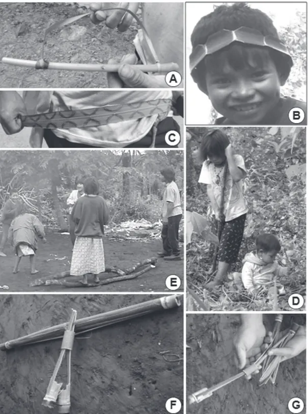 Fig. 3. A: Imitación de arma de fuego elaborada com pecíolo de Ricinus communis (Euphorbiaceae) y correa de  lámina foliar de Cordyline spectabilis (Agavaceae) (20)