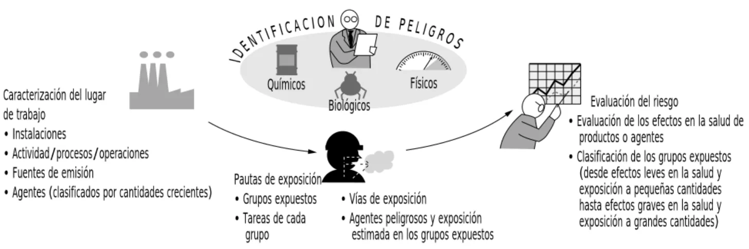 Figura 30.3. Elementos de la evaluación de riesgos.